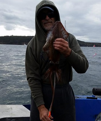 sydney harbour fishing tours